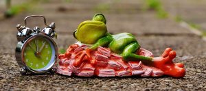 Nie martw się losowaniem Lotto!